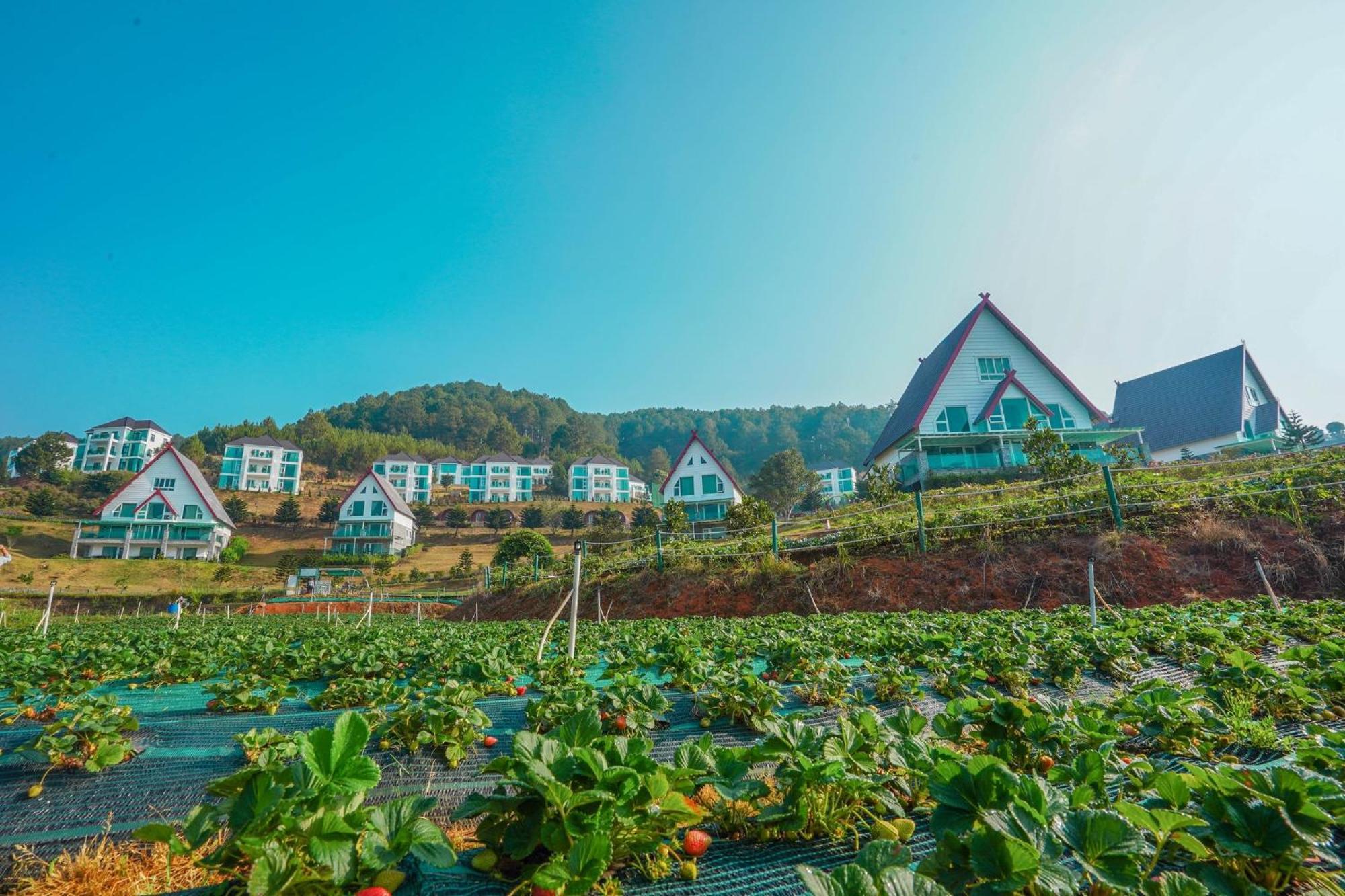 Dalat Wonder Resort Εξωτερικό φωτογραφία
